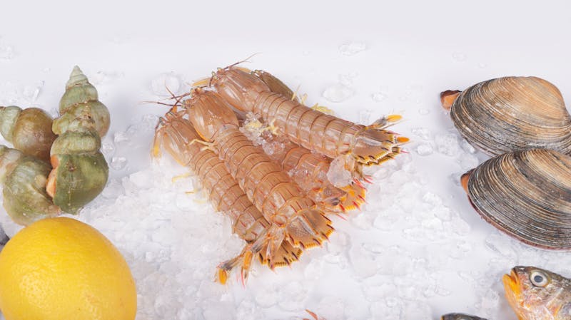 Seafood pasta with shrimp and clams